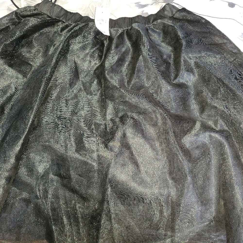 Tulle Skirt